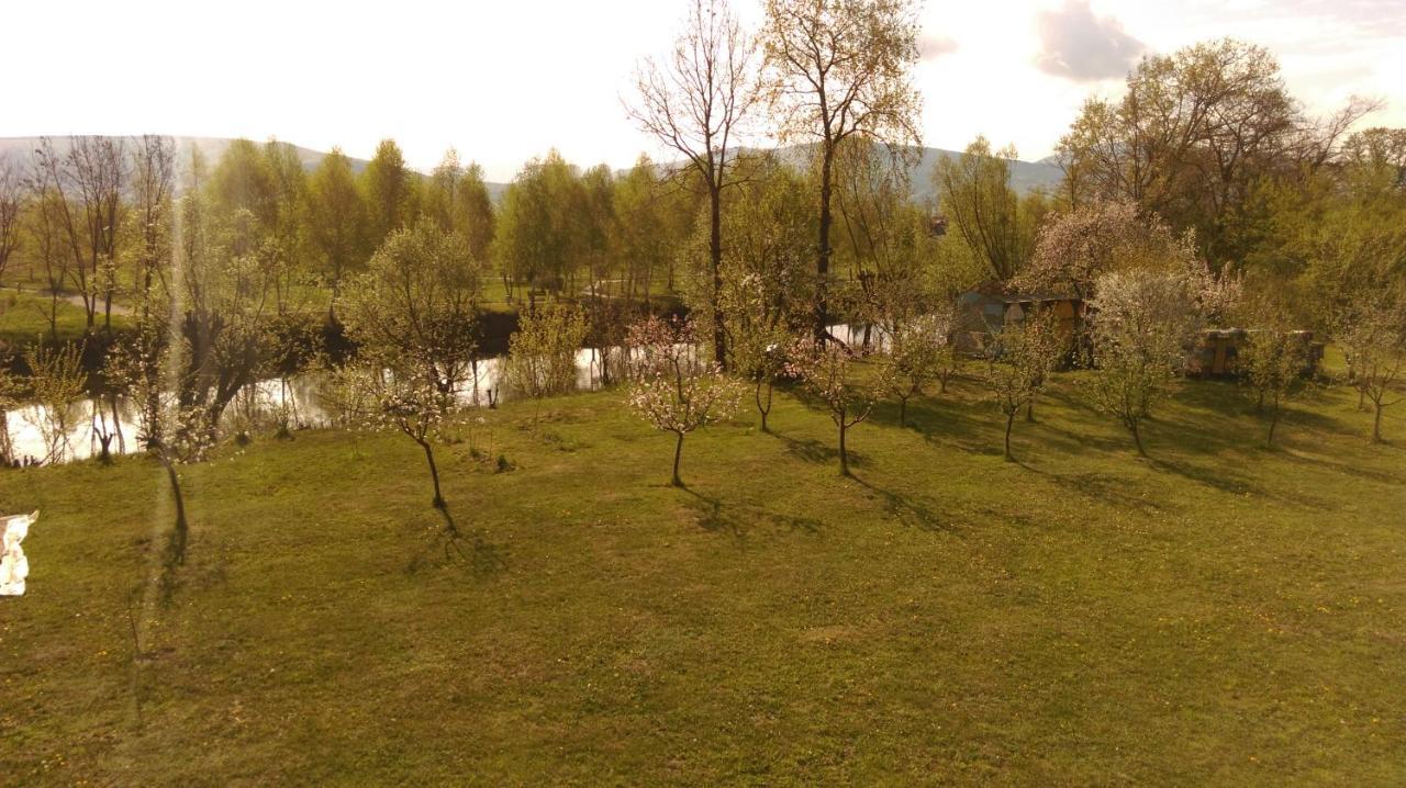 Albinuta Guesthouse Ozun Экстерьер фото