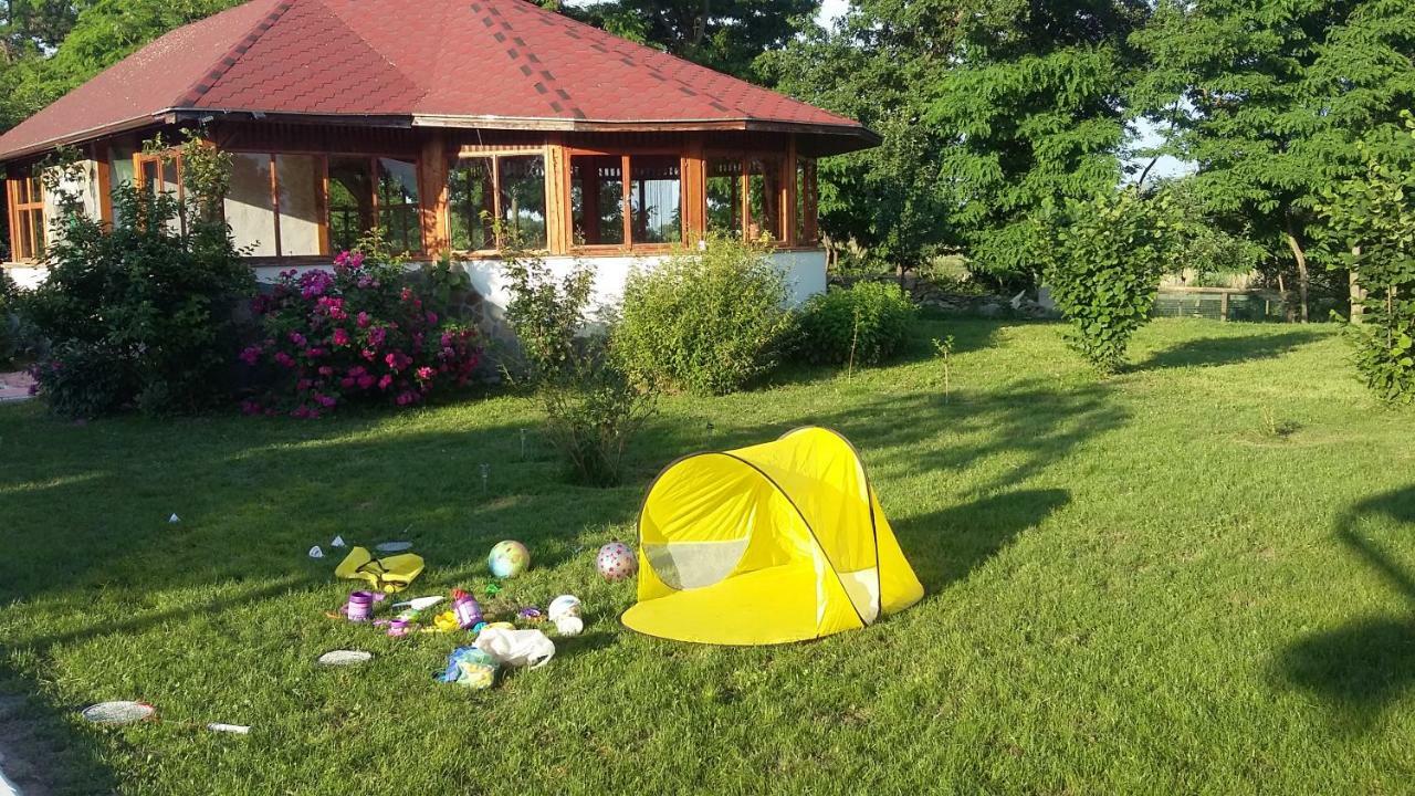 Albinuta Guesthouse Ozun Экстерьер фото